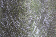 Lockeridge fibreglass roof work